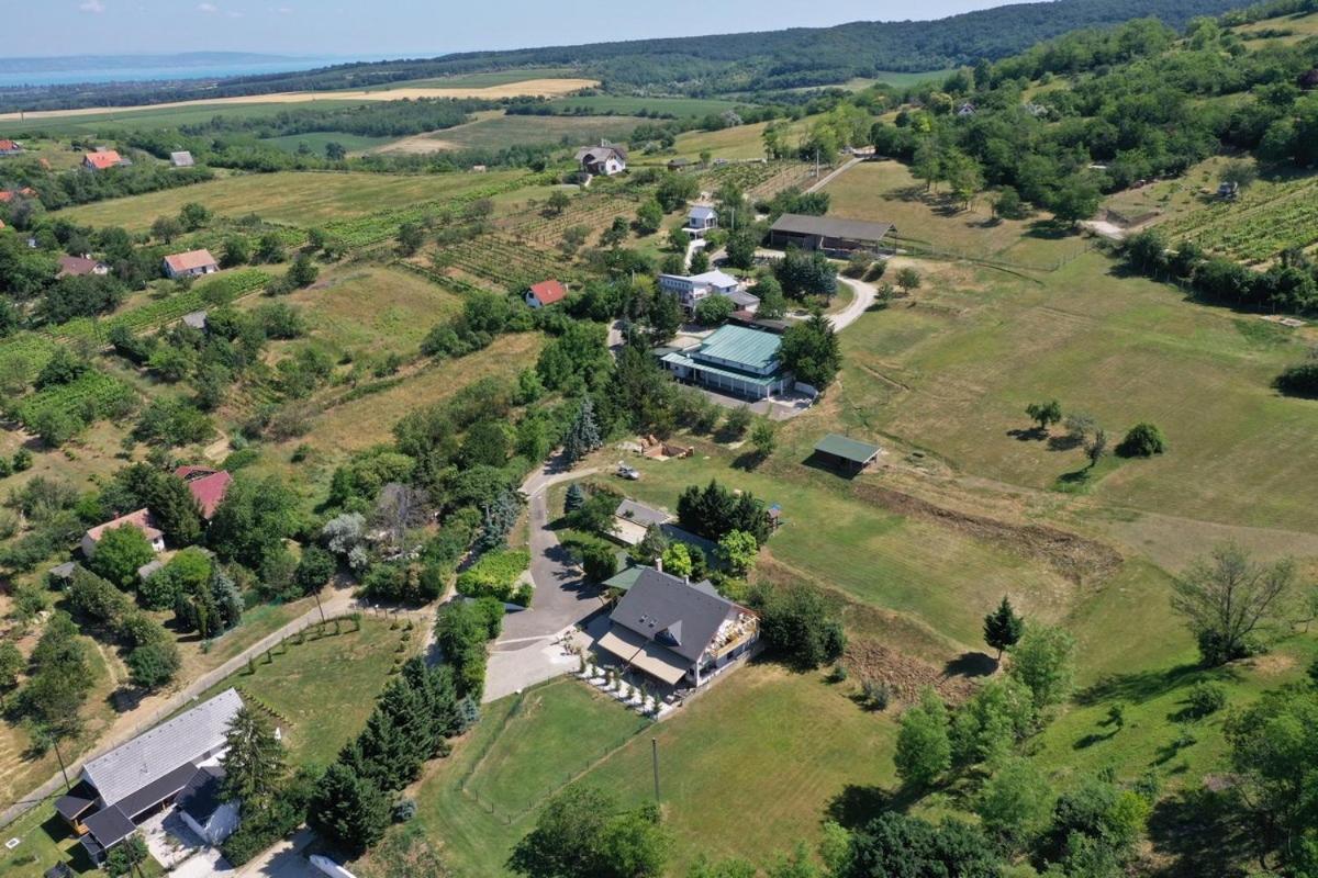 Borkuti Panzio Es Apartman Balatonszárszó Exteriér fotografie